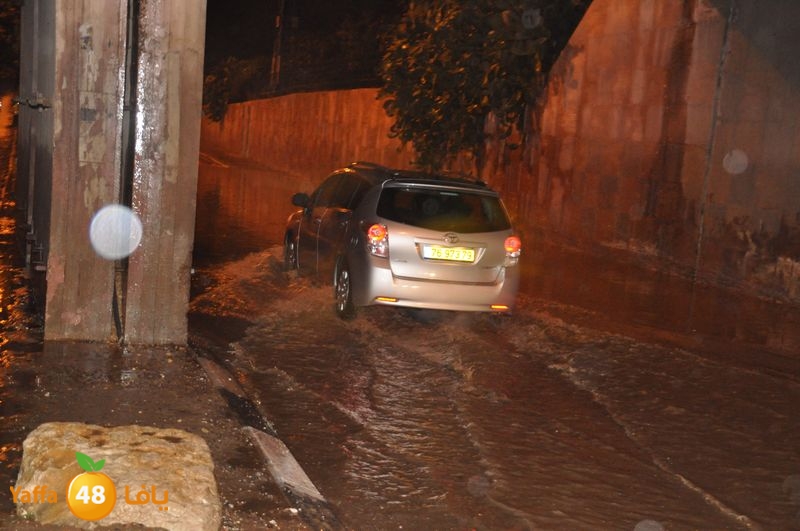 rain lud 1212 (20).JPG